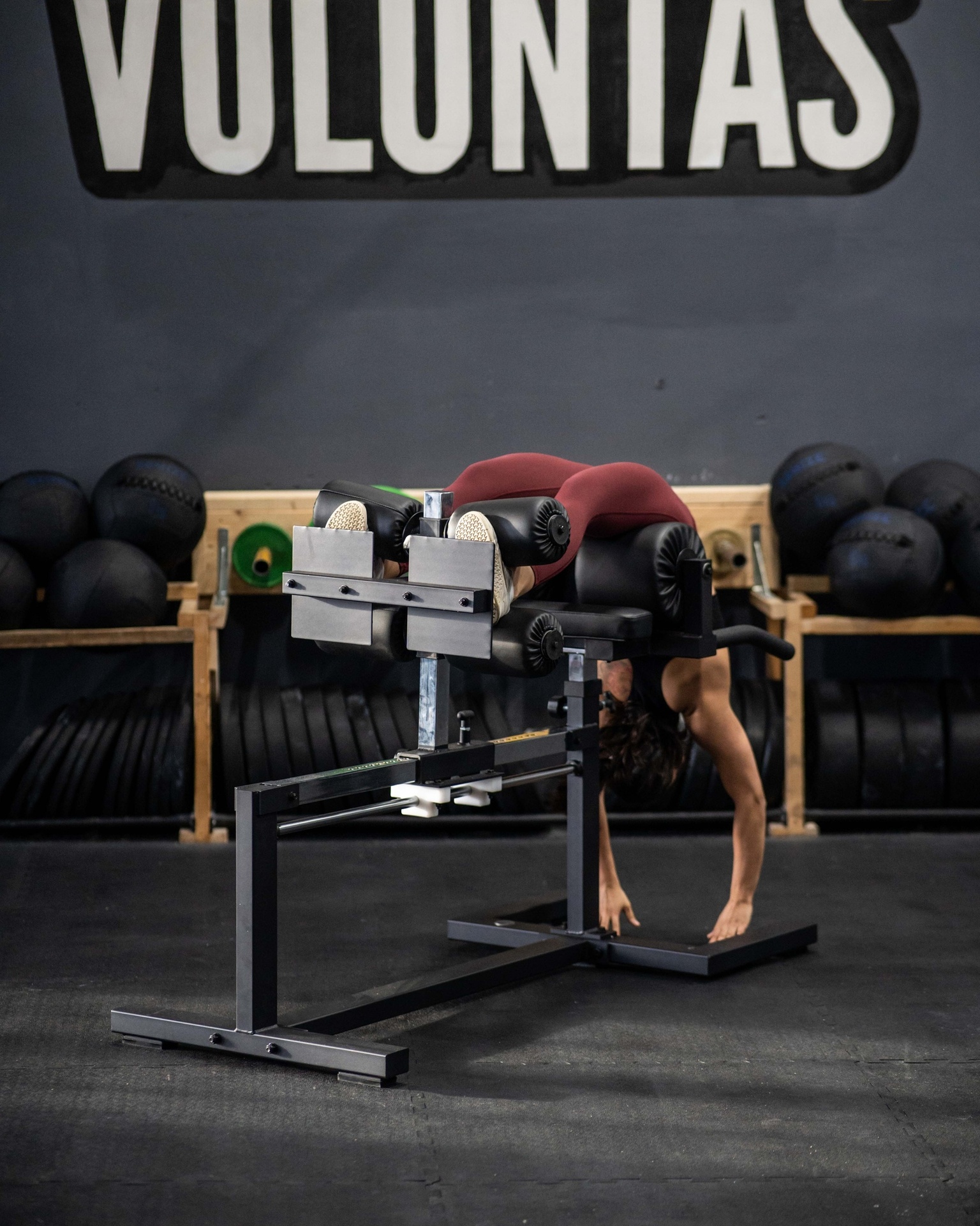 Glute Ham Developer SQMIZE® ELITE CLUB SQ-G1100