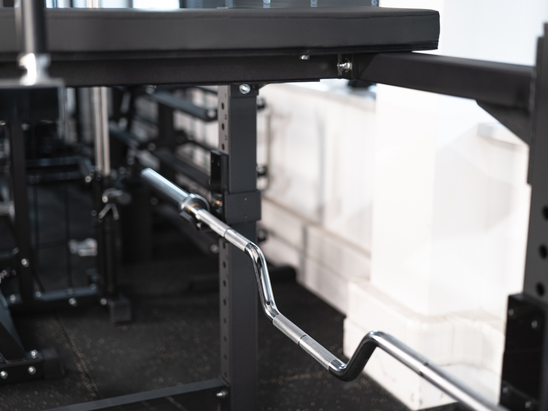 Reverse Hyper & Seal Row Station SQMIZE® ELITE CLUB SQ-R968