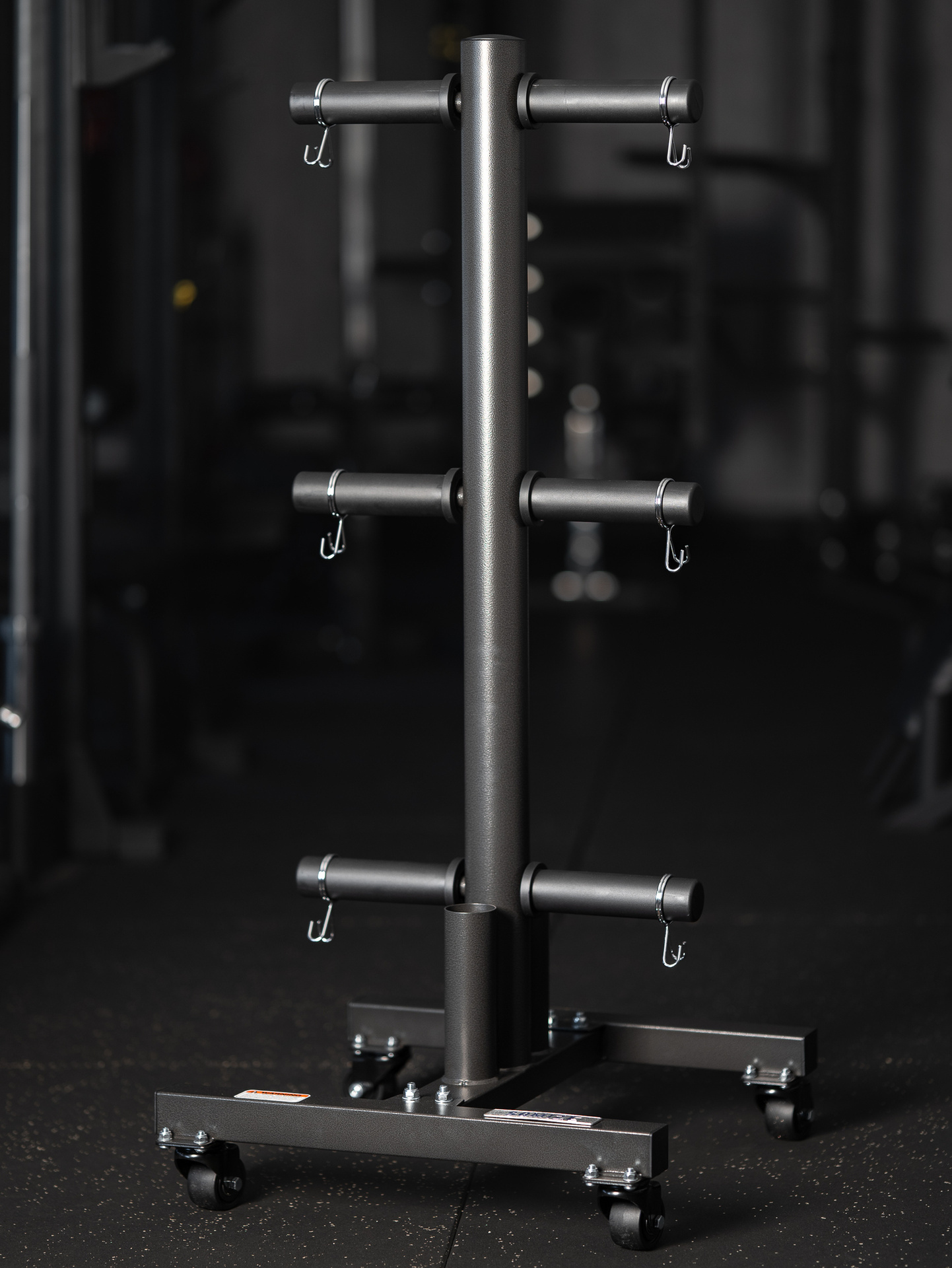 Mobiler Hantelscheibenständer SQMIZE® BS500, 50 / 30 mm Hantelscheiben-Trolley
