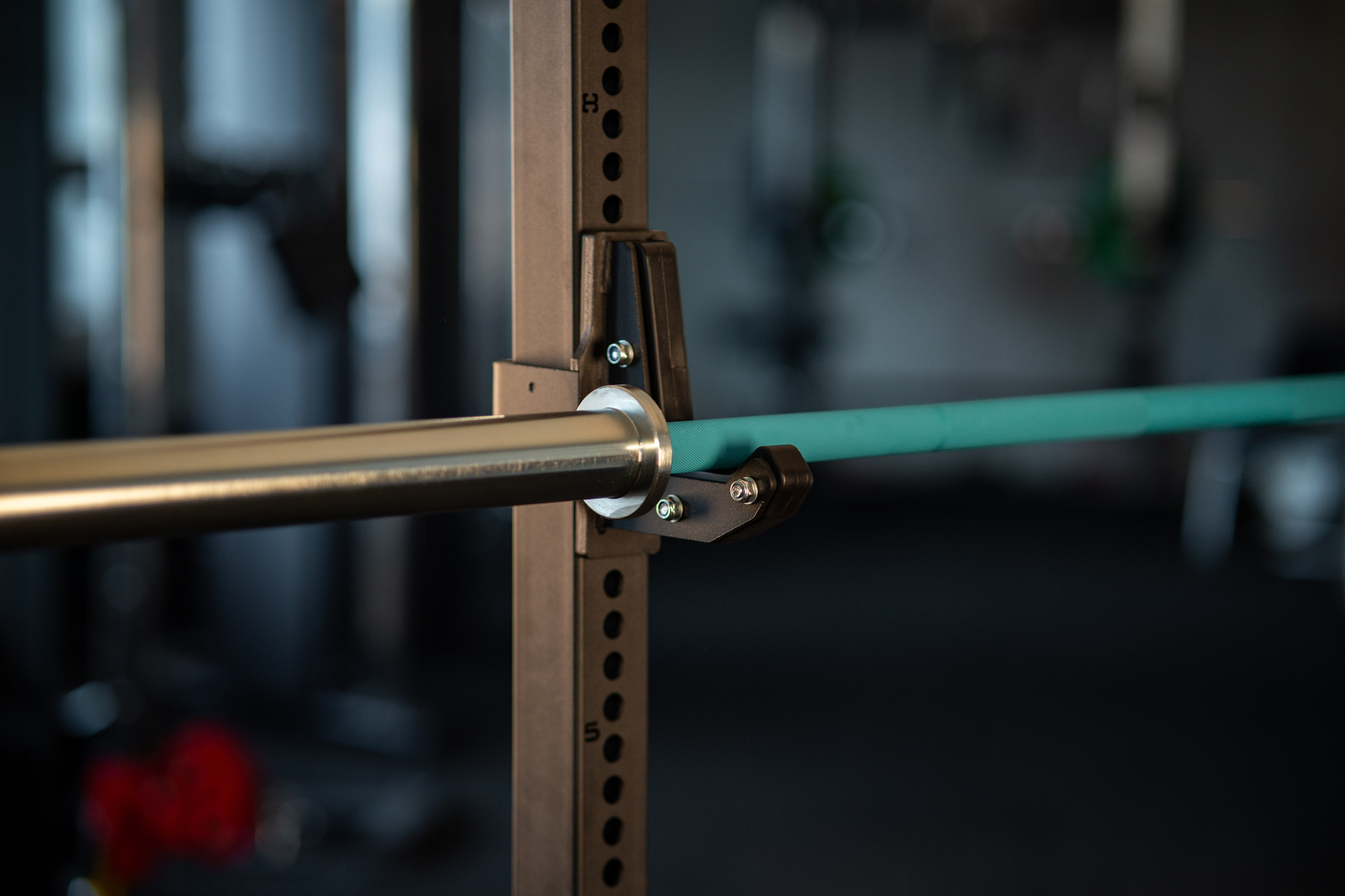 SQMIZE® PREMIUM BISON Powerlifting Bar Manufaktur Edition Aztec Teal