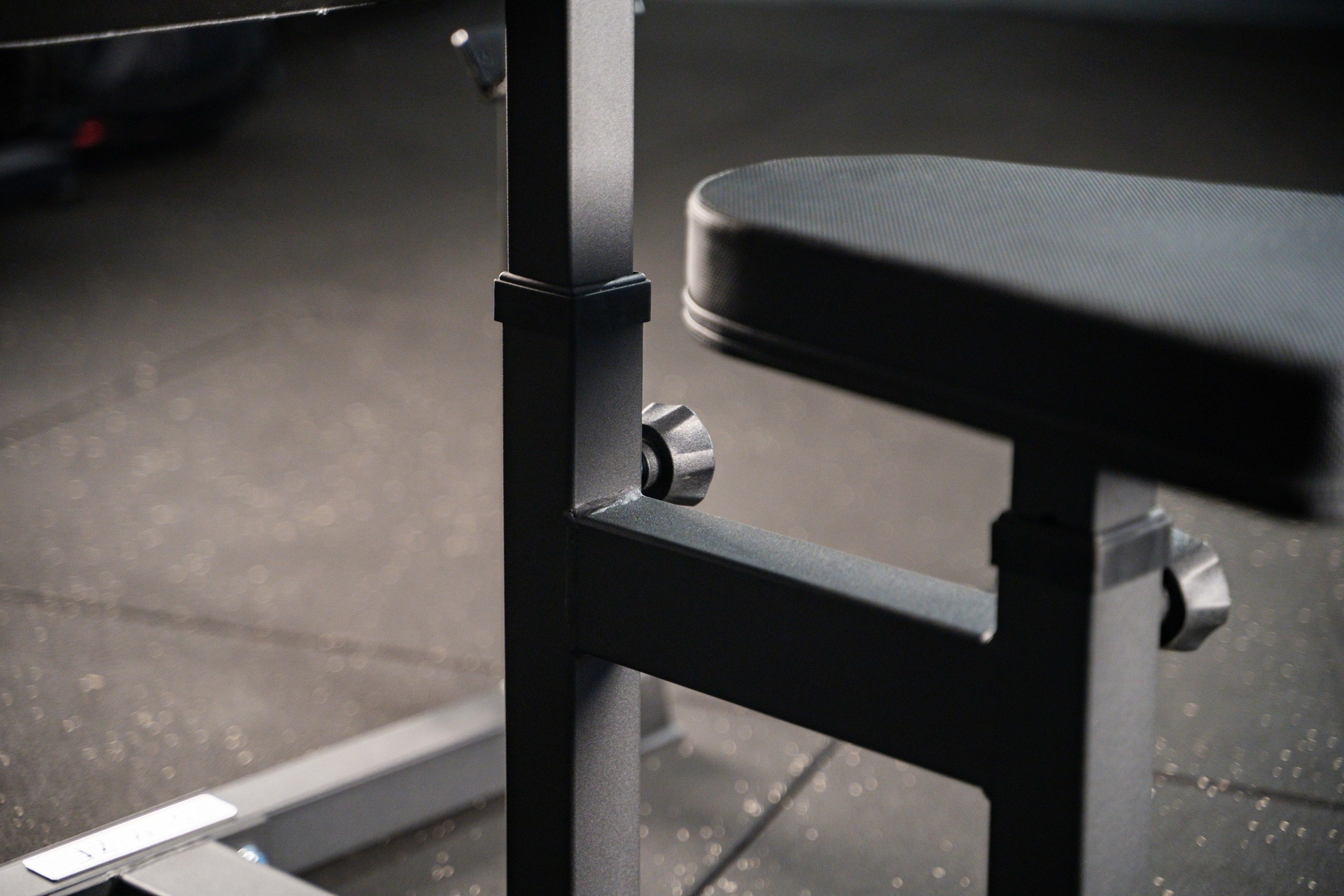Curl Bench SQMIZE® POWER PACK CB5i