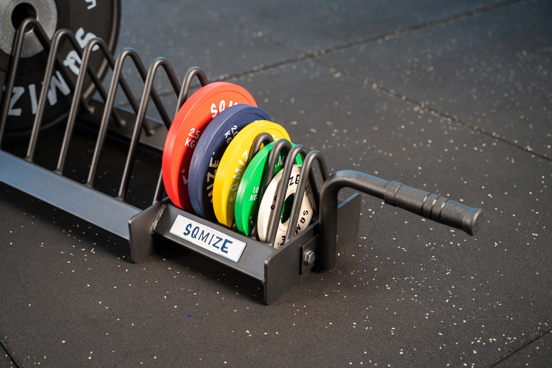 Profi Bumper Plate Ständer SQMIZE® BPR120