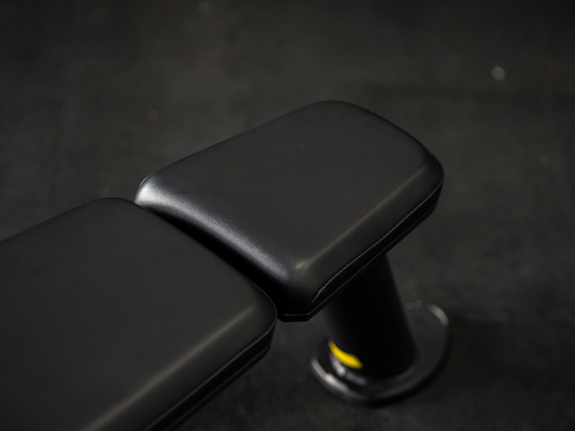Flachbank SQMIZE® PREMIUM BISON SQ-R300, 3-teiliges Ergopolster