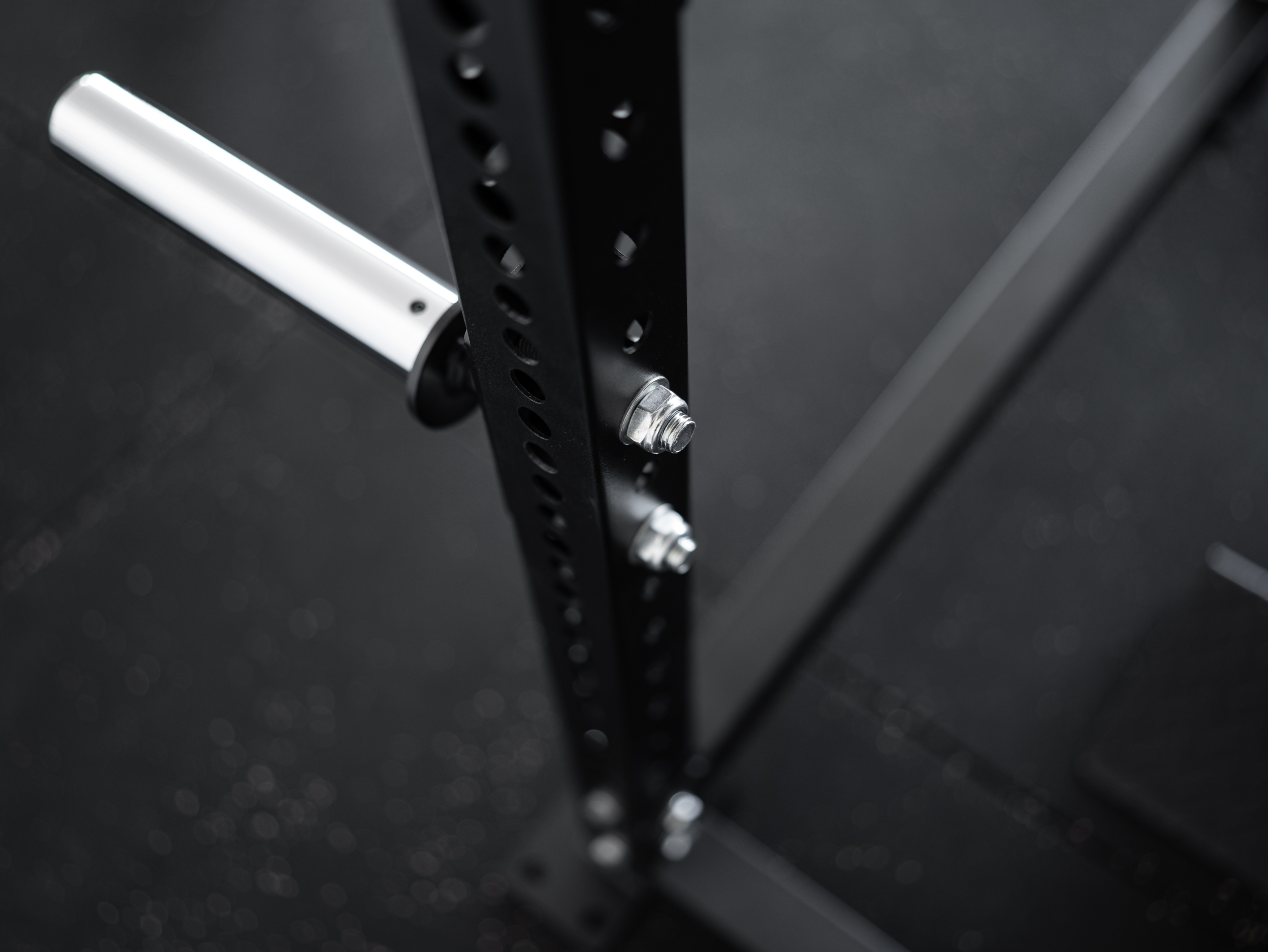 Hantelscheibenhalter SQMIZE® ELITE CLUB SQ8.0WHC-RS Chrome