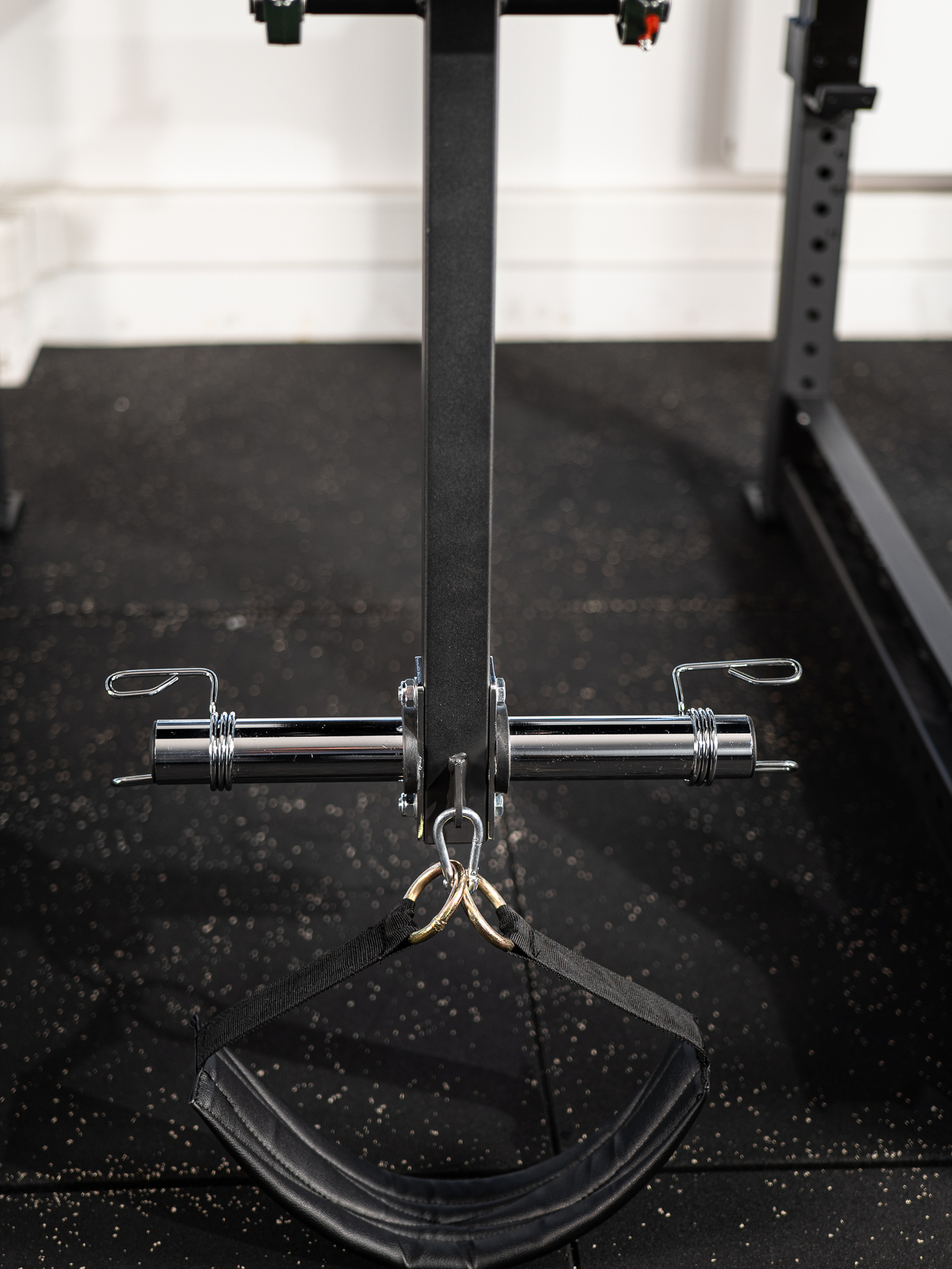 Reverse Hyper & Seal Row Station SQMIZE® ELITE CLUB SQ-R968