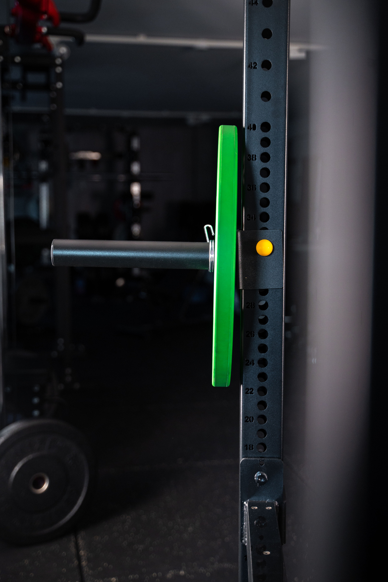 Power Rack Plate Storage SQMIZE® SQ480PS Hantelscheibenhalter-Set