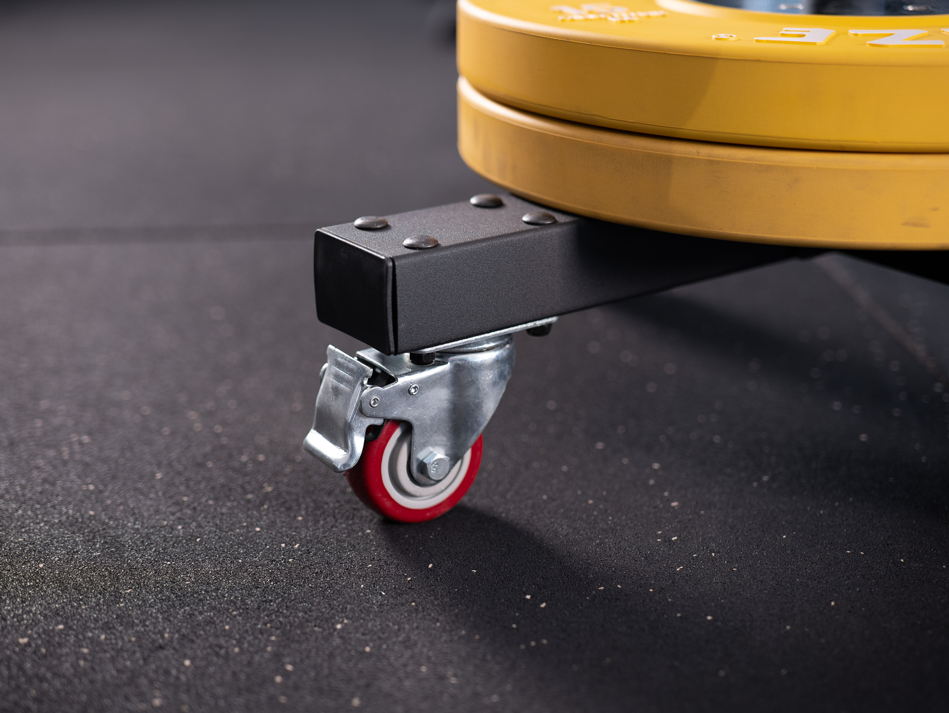 Plate Tower SQMIZE® BS400, 50 mm Hantelscheiben-Trolley