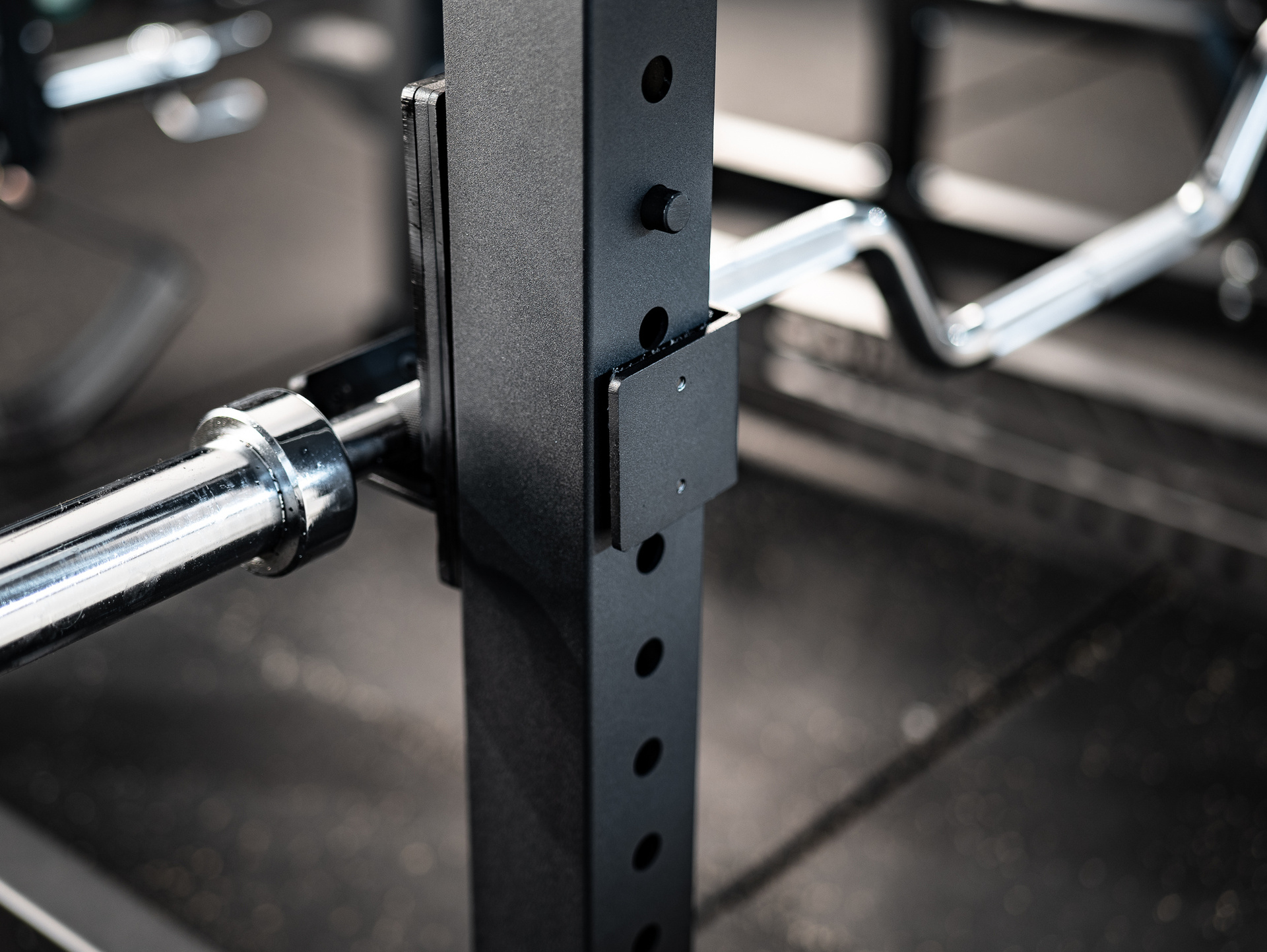 Reverse Hyper & Seal Row Station SQMIZE® ELITE CLUB SQ-R968