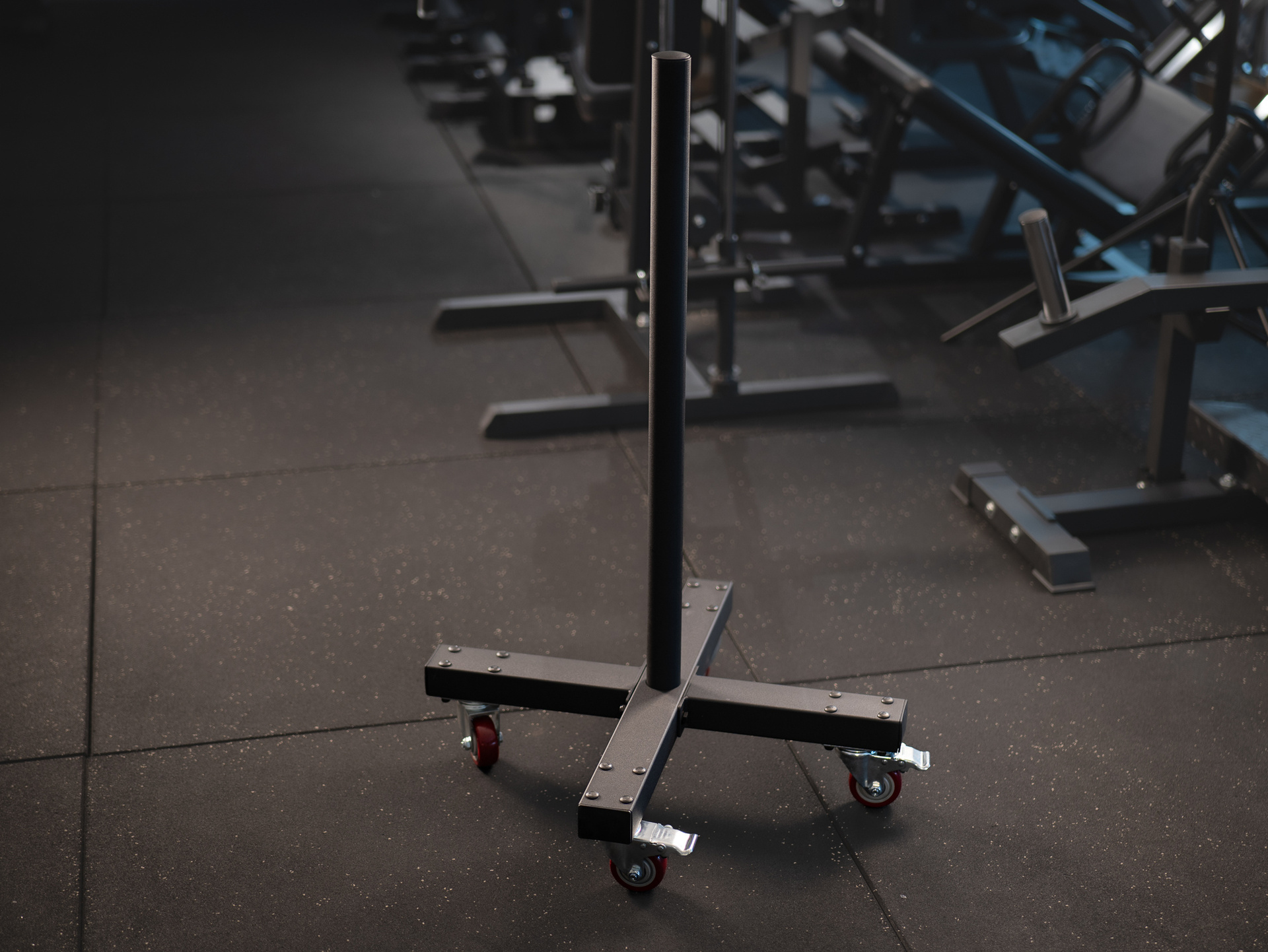 Plate Tower SQMIZE® BS400, 50 mm Hantelscheiben-Trolley