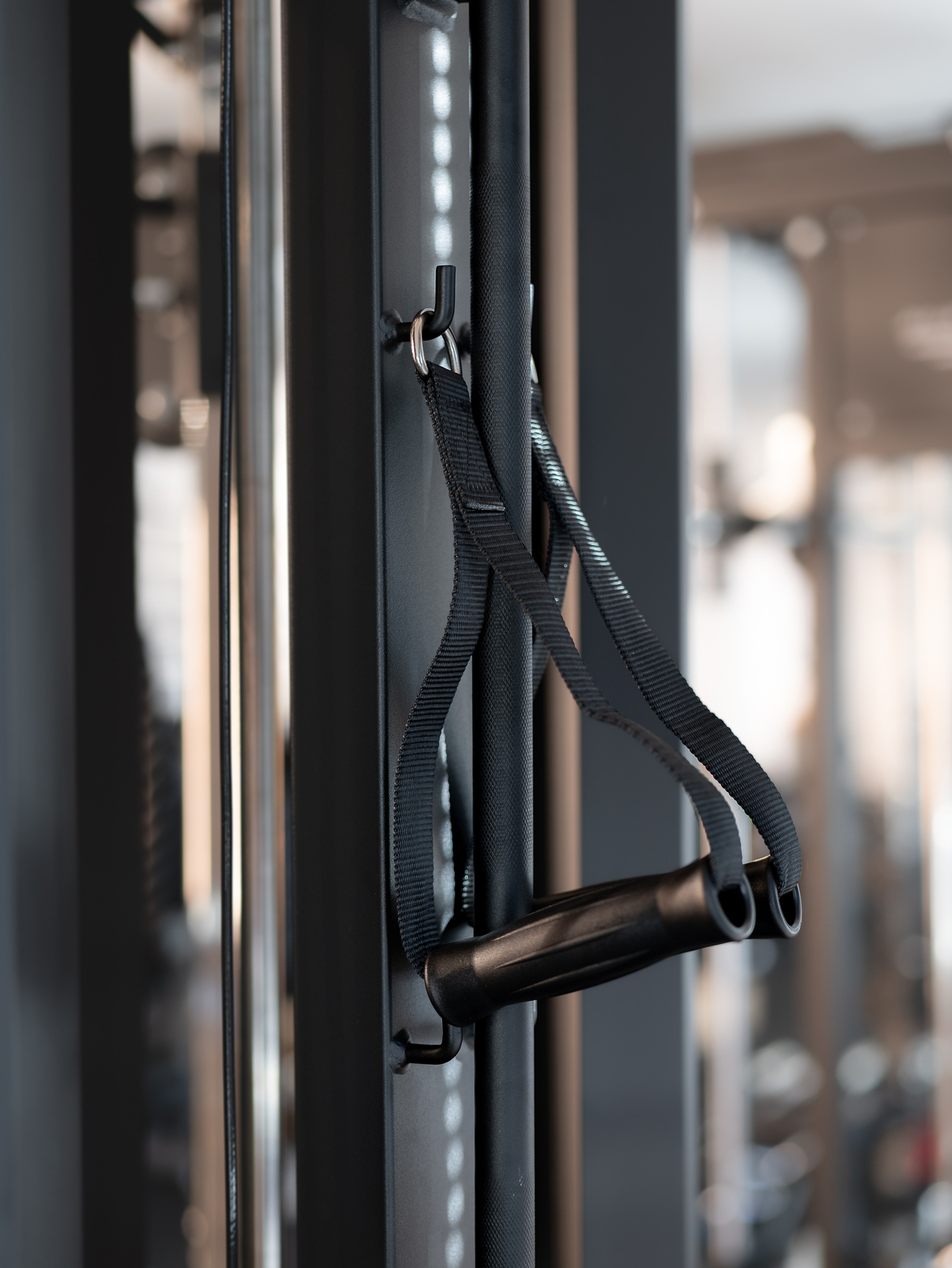 Profi Triangle Kabelzugstation, Functional Trainer SQMIZE® ELITE CLUB FT18i XTR