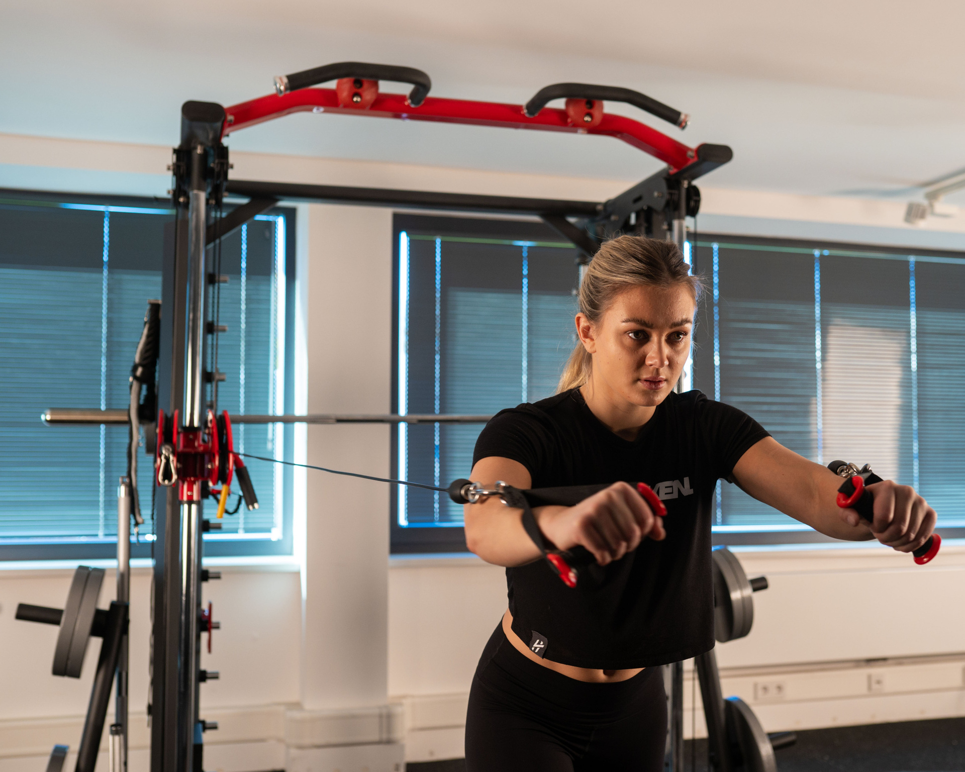 Multi Functional Gym SQMIZE® PREMIUM BISON SQ-S950 - REFURBISHED