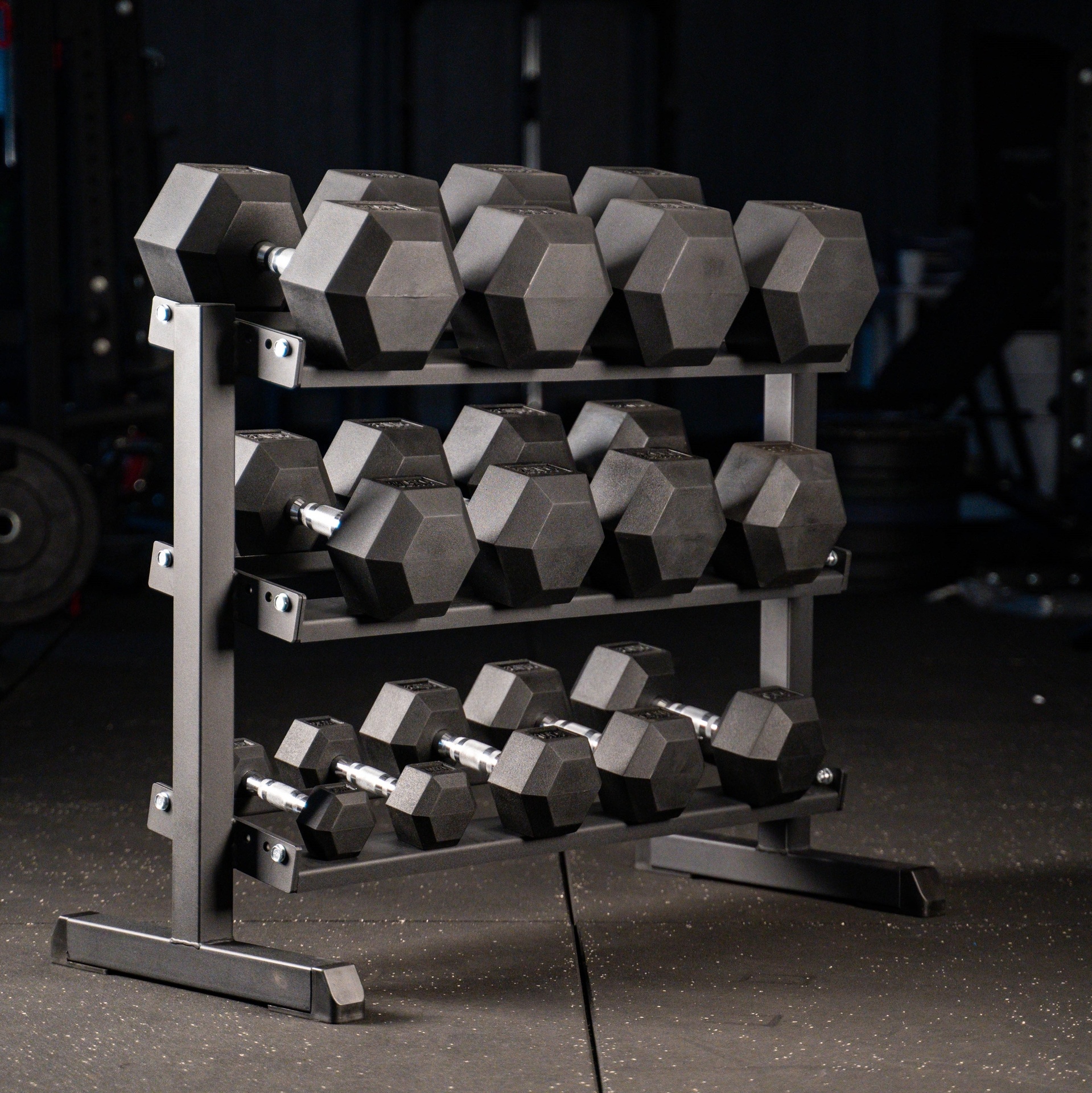 Hex Dumbbell Set mit Kurzhantelständer SQMIZE® SQ220-R315