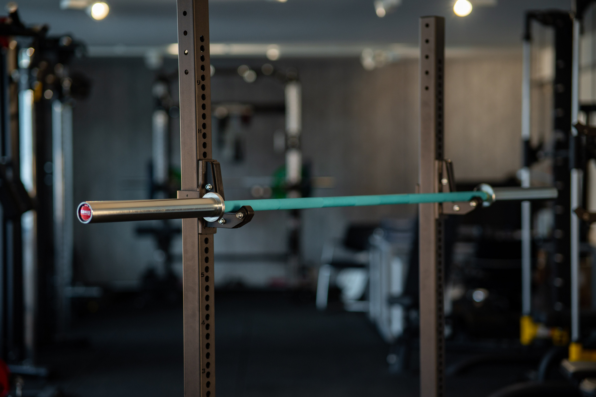 SQMIZE® PREMIUM BISON Powerlifting Bar Manufaktur Edition Aztec Teal