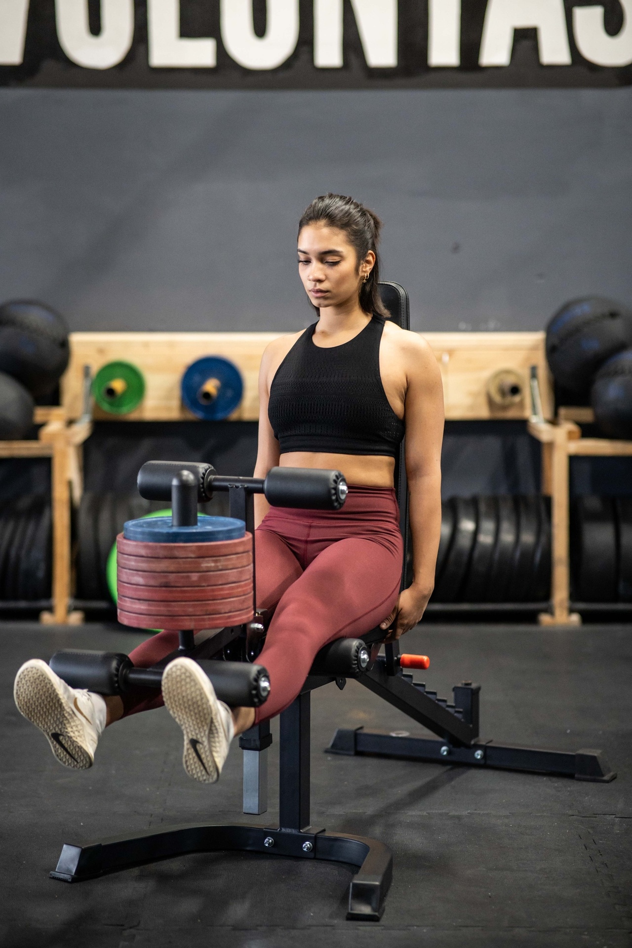Hantelbank SQMIZE® PREMIUM BISON FID5i