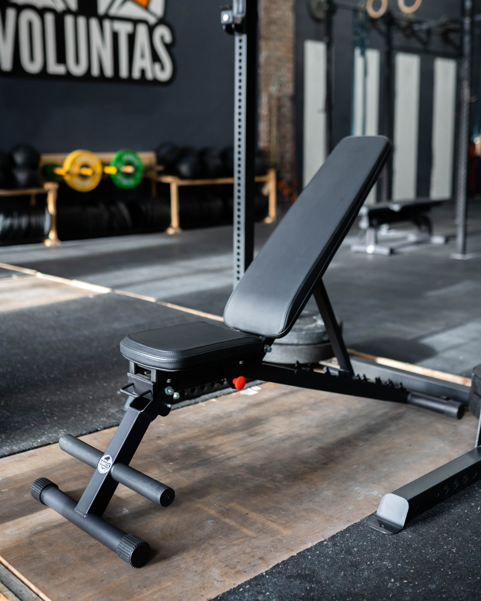 Klappbare Hantelbank SQMIZE® PREMIUM BISON FB3i