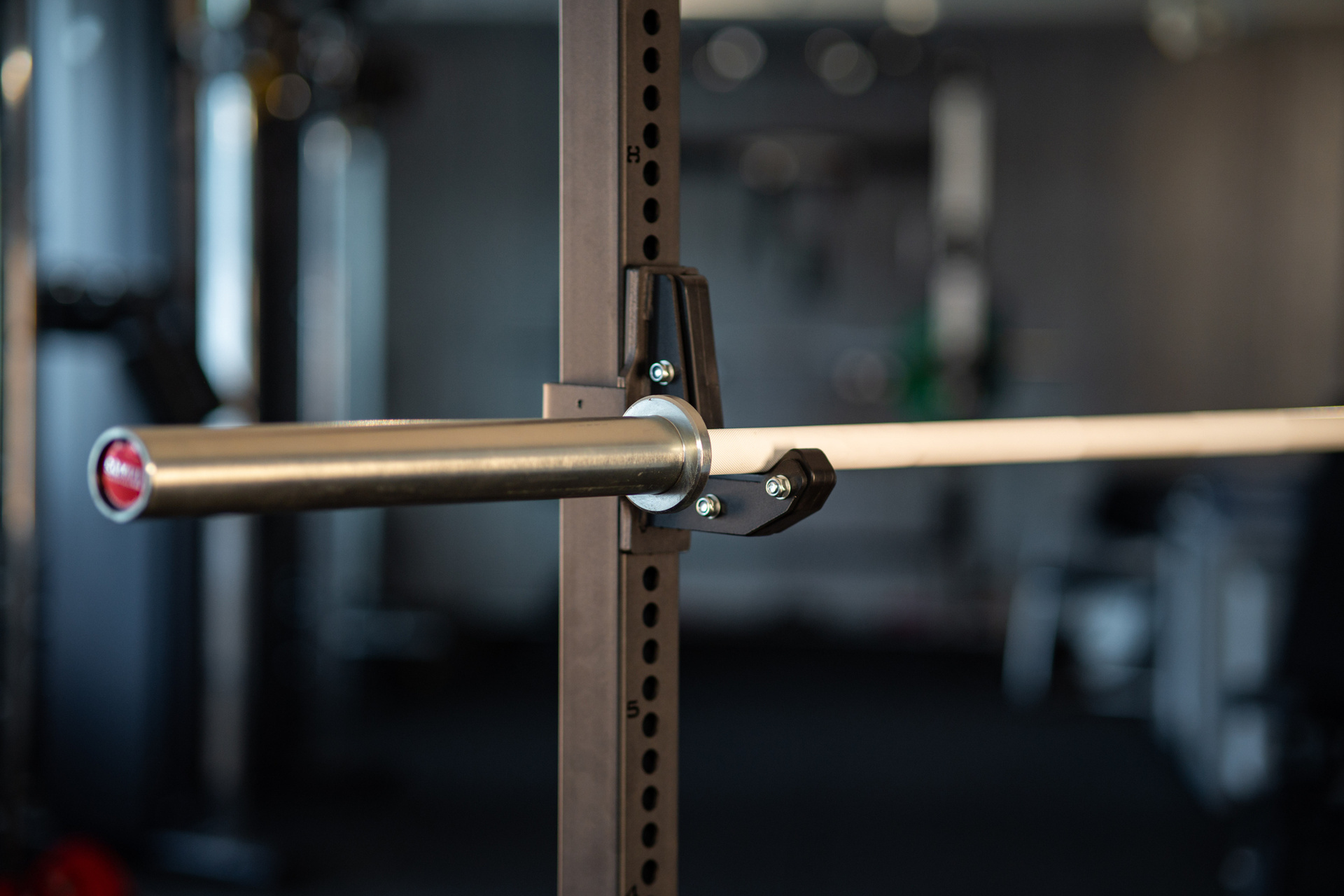 SQMIZE® PREMIUM BISON Powerlifting Bar Manufaktur Edition Stormtrooper White