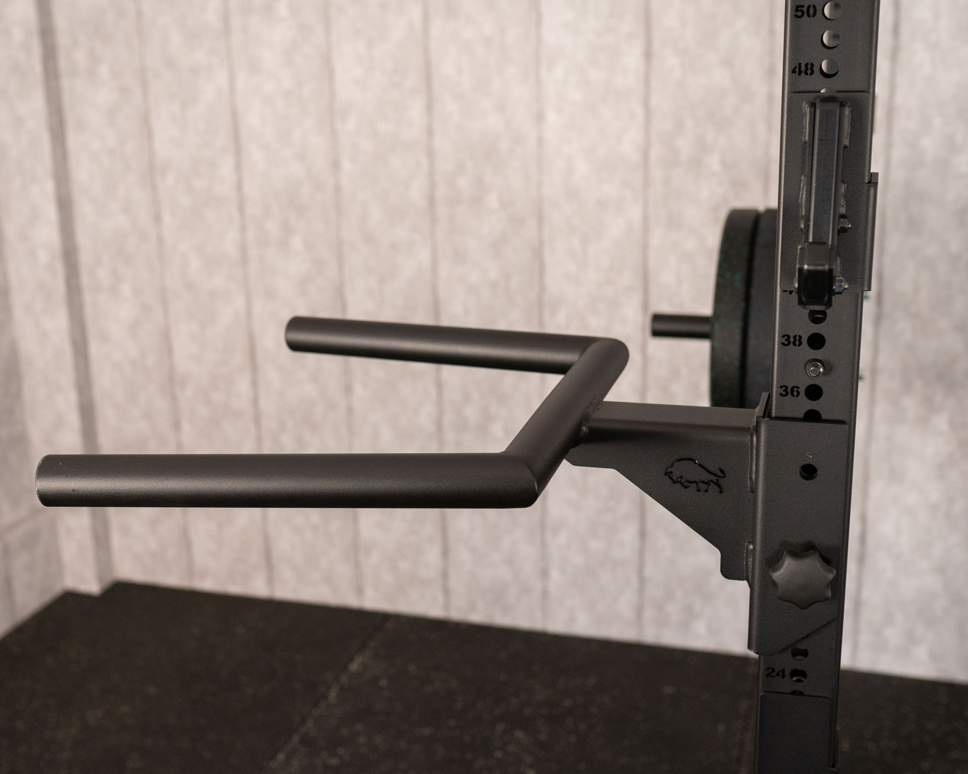 Dip Horn SQMIZE® PREMIUM BISON BDB-DH