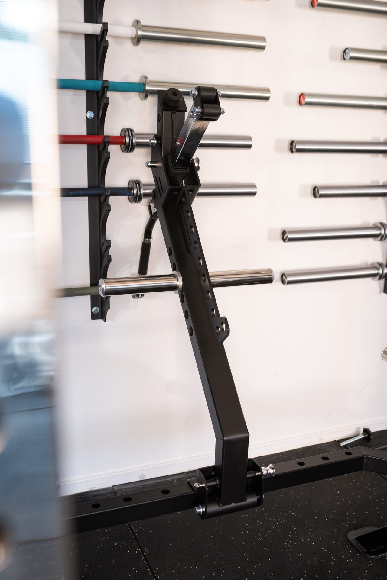 Monster Power Gym Belt Squat Ergänzung SQMIZE® SQ-S991-BSM
