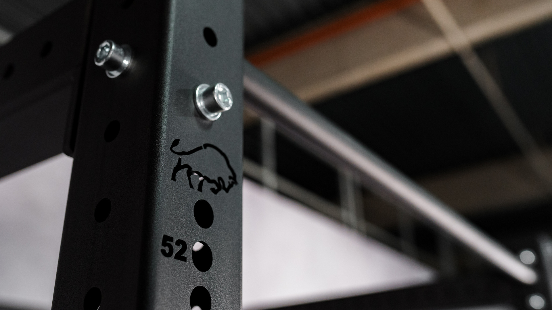 Wall-Mounted Power Rack Konfigurator SQMIZE® PREMIUM BISON PBR-W